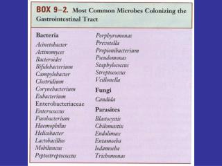 Gram Negative Rods of the Enteric Tract