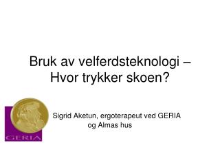 Bruk av velferdsteknologi – Hvor trykker skoen?