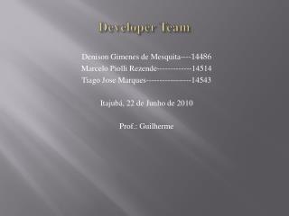 Developer Team