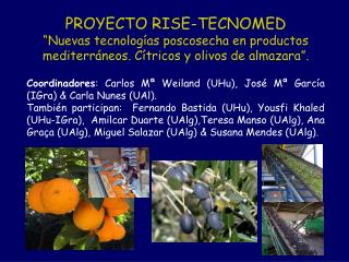 PROYECTO RISE-TECNOMED