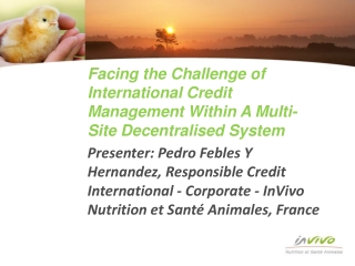 Facing the Challenge of International Credit Management Within A Multi-Site Decentralised System