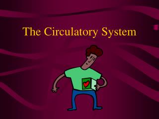 The Circulatory System