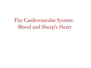 The Cardiovascular System: Blood and Sheep’s Heart