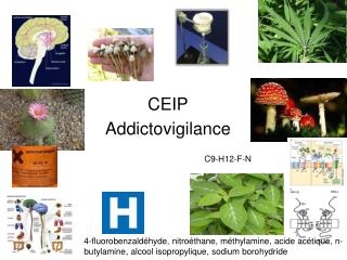 C9-H12-F-N