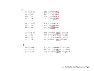 Ce KIN-29	436 EN RRH T LCAS Rn SIK1		470 TG RRH T LAEV Mm SIK2		497 QQ RRH T LSEV