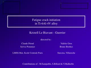 Fatigue crack initiation in Ti-6Al-4V alloy