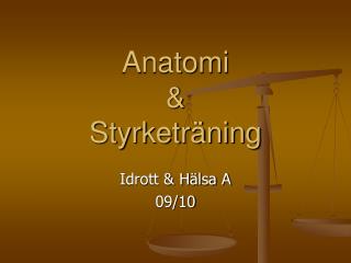 Anatomi &amp; Styrketräning