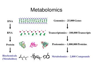 Metabolomics