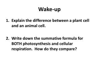 Wake-up