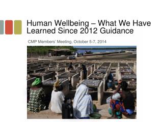 Human Wellbeing – What We Have Learned Since 2012 Guidance