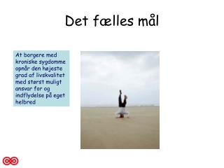 Det fælles mål