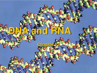 DNA and RNA