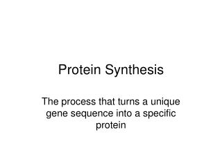 Protein Synthesis