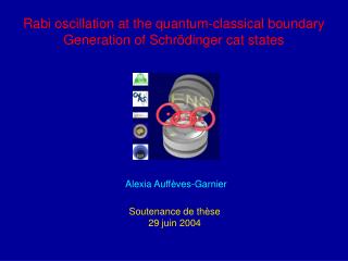 Rabi oscillation at the quantum-classical boundary Generation of Schrödinger cat states