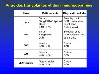 Virus des transplantés et des immunodéprimés