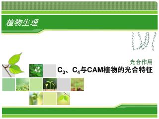 光合作用 C 3 、 C 4 与 CAM 植物的光合 特征