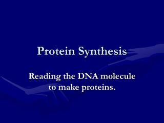 Protein Synthesis