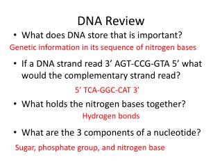 DNA Review