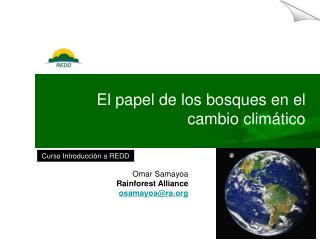 E l papel de los bosques en el cambio climático