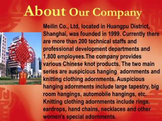 About Our Company