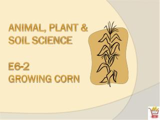 Animal, Plant &amp; Soil Science E6-2 Growing Corn