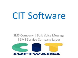 CIT Softwares Offer Low Cost Bulk SMS Service
