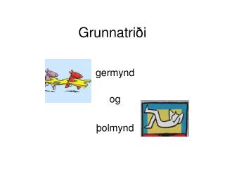 Grunnatriði