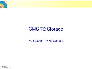 CMS T2 Storage