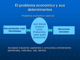 El problema económico y sus determinantes