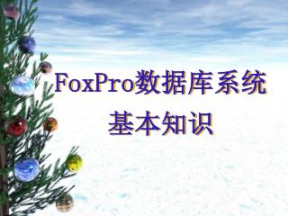 FoxPro 数据库系统 基本知识