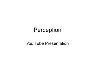 Perception