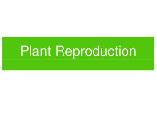 Plant Reproduction