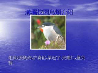 溝壩校園鳥類介紹