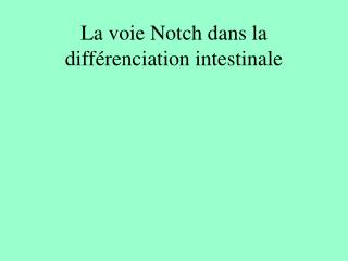 La voie Notch dans la différenciation intestinale