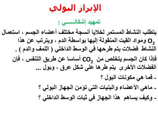 الإبراز البولي