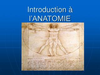 Introduction à l’ANATOMIE