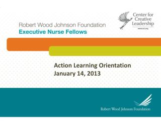 Action Learning Orientation January 14, 2013