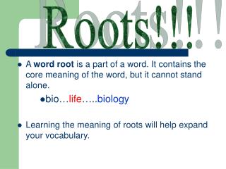 Roots!!!