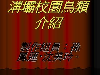 溝壩校園鳥類介紹