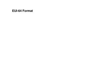 EUI-64 Format