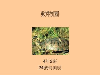 動物園