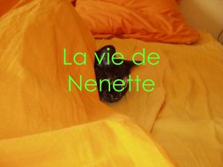 La vie de Nenette