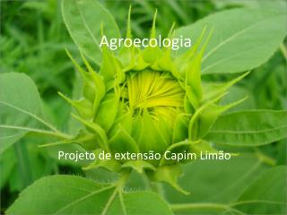 Agroecologia