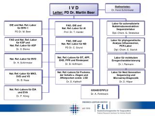I V D Leiter: PD Dr. Martin Beer