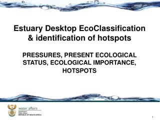 Estuary Desktop EcoClassification &amp; identification of hotspots