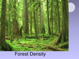 Forest Density