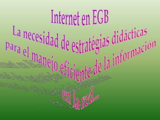 Internet en EGB La necesidad de estratégias didácticas para el manejo eficiente de la información