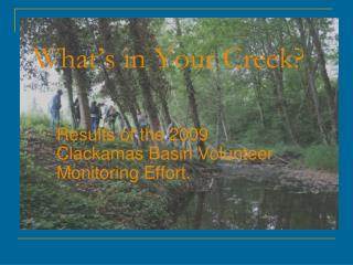 What’s in Your Creek?