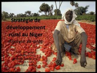 Stratégie de développement rural au Niger Analyse ex-ante