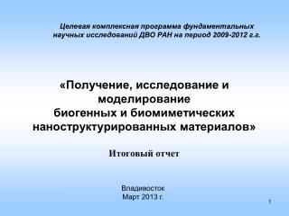 Владивосток Март 2013 г.